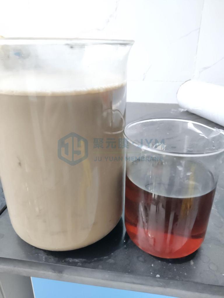 蛋白液过滤澄清