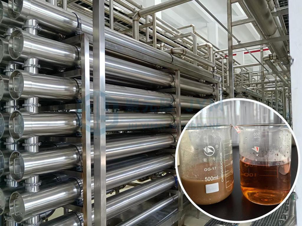 重庆某药业发酵液澄清脱色项目